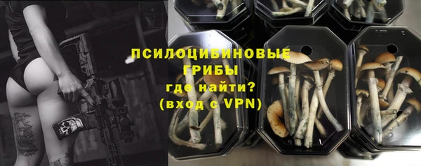 винт Аркадак