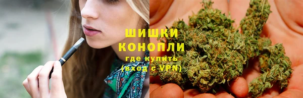 винт Аркадак