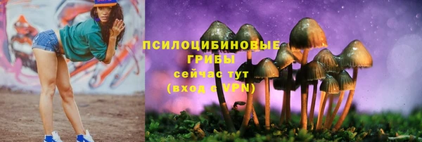 Альфа ПВП Арсеньев