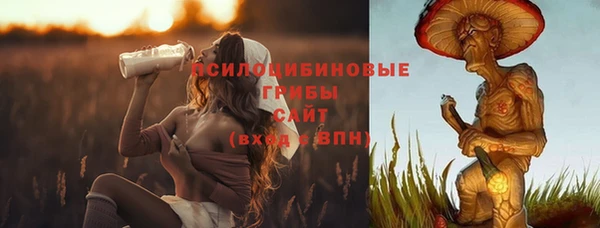 винт Аркадак
