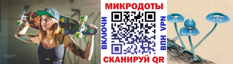 Псилоцибиновые грибы Cubensis  кракен рабочий сайт  Минусинск 